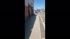 Car crashes in West Roxbury Pet Supplies Plus building, no one hurt