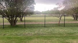 Hellacious hail hammers Texas during tornado-producing storm