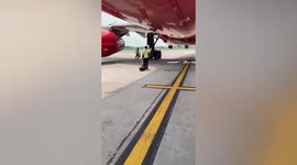 Stowaway! Monitor lizard hides under planes parked at Bangkok airport