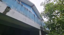 Wild bees build huge hives under local's balcony in Thailand