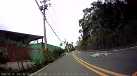 WTF MOMENT: Cat jumps in front of moped rider and narrowly misses getting hit (Dashcam Video)
