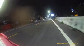 CLOSE CALL: Wild animal runs across road causing moped rider to slam brakes on (Dashcam Video)