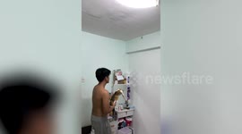 Arachnophobic man uses his pet cat to catch HUGE spider on wall