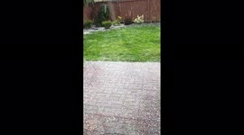US: Pea-Sized Hail Storm Hits Vancouver, WA