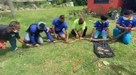 Large 13ft-long king cobra invades family's home in Thailand