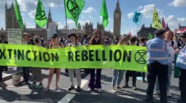 Extinction Rebellion protesters block London's Westminster Bridge