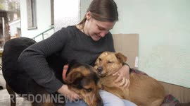Animals left behind in Ukraine war rescued by volunteers
