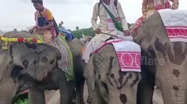 Elephant race marks new year in northeastern India