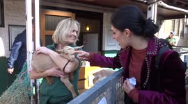 Children enjoy feeding adorable baby goats at Vauxhall City Farm on Easter eve