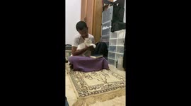 6 Months Old White Persian Cat Wants To Play With Her Father
