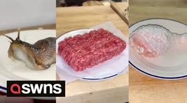 Cake artist creates hyper-realistic cakes that look like raw meat and even a slug