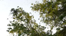 Yellow snow storm in Thailand on Easter Sunday, this was my Easter experience.