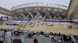 Show jumping at the LONGINES QATAR EQUESTRIAN TOUR