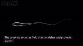 Best Foods For Prostate |Healthy Foods For A Healthy Prostate |Prostate Friendly Foods