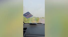 Wild snake slithers on moving car's windshield in Thailand