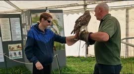 I get to hold a Red Tail Buzzard Bird of Prey
