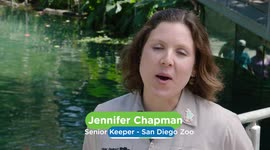 All This Hippo Wanted For Her Birthday Was a Water Cannon…And She Got It!