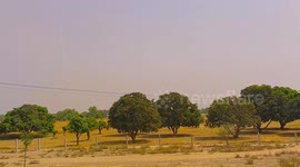 Multan - A city of Shrines, Mangoes and delicious Halwa (Pudding)