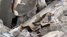 Cat sits on rubble of destroyed Mariupol apartment block