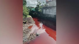 River turns blood red due to severe water pollution in Bali, Indonesia