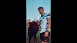 House cow with NO EARS becomes social media star Part Five