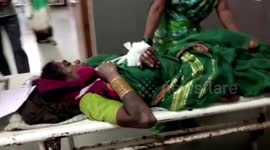 Wild bear strays into village, attacks locals in central India