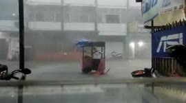 Street food vendors in Indonesia defend their carts from the storm