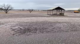 US: Pea-Sized Hail Storm In Foard County, Texas