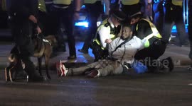 Black youths mauled by police dogs and beaten after annual '4:20' protest at Hyde Park