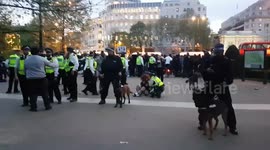 '420' cannabis event in Hyde Park shut down with police dogs