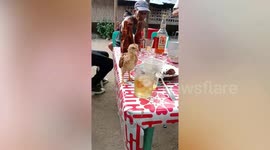 Chick drinks a cold beer from glass and seems to like it