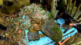 Explorer finds abandoned 19th century farm untouched for 13 YEARS – with birthday cards on mantelpiece and food left to rot