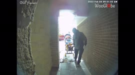 'Ambulance staff greeted by a 'fake snake' on the porch of patient's house  '