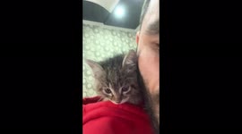 Kitten's adorable reaction when going outside for the first time