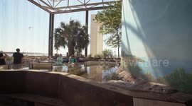 Stingrays Are Some of the Most Interesting Creatures in the World!