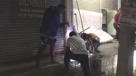 Rescuers scramble to save monitor lizard trapped in cement hole in Thailand
