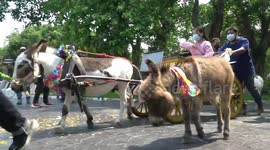 Thai dancers and zoo animals mark country's Songkran new year festival