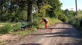 Animal rescuers save stray dog that had bird snare stuck on its mouth for a week