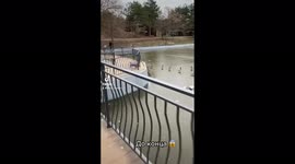 На видео Одесский парк Победы. Мы всегда гуляем там с Кэйси без поводка и всегда все было отлично. Так как я кинолог, она очень послушная и знает много команд. Но в этот раз она увидела уток которые не плавали в озере, а ходили по нему и она поняла что то