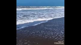 R magnifique nature