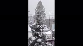 Northern California hit with snow in springtime