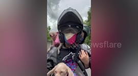 Couple takes pet dogs with them on motorcycle ride