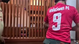 Stray kitten rescued after being found trapped behind restaurant wall
