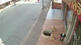 Out-of-control car smashes into gold shop after 'driver mistook accelerator for brake'
