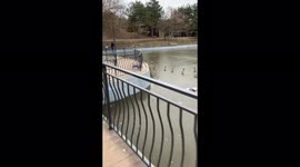 На видео Одесский парк Победы. Мы всегда гуляем там с Кэйси без поводка и всегда все было отлично. Так как я кинолог, она очень послушная и знает много команд. Но в этот раз она увидела уток которые не плавали в озере, а ходили по нему и она поняла что то