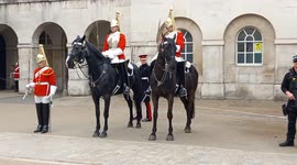 The Horse copys the the guard horse guard parade...............