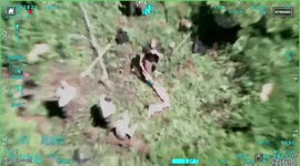 US man stranded in Florida forest for two days hoisted to safety in helicopter