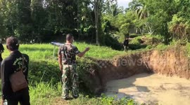 Young elephant rescued after falling into muddy pond