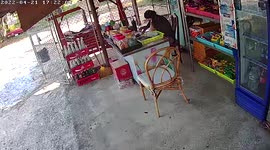 Shopkeeper jumps onto chair in fright as snake slithers under her legs