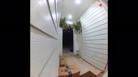 Doorbell camera catches woman hilariously falling backward after losing grip on planter